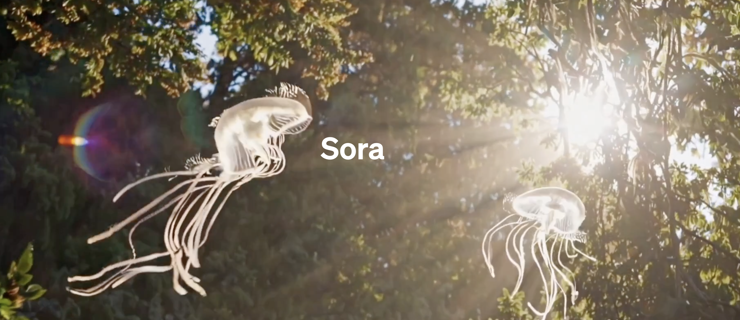 스크린샷 2024 12 10 오전 11.32.04