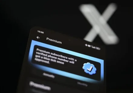 051Hh4tm3YxhCdXYaLjvPGv 16