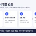 공동인증서 발급 4단계를 정리한 그림: 인증센터 접속, 인증서 종류 선택, 신원 확인, 저장 위치와 비밀번호 설정