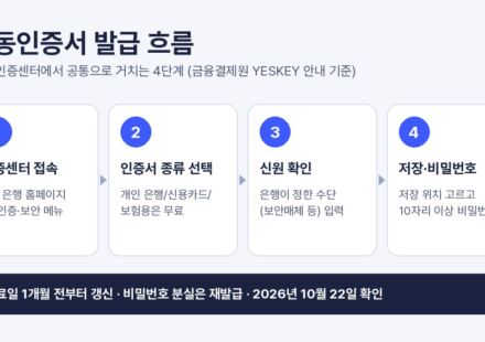 공동인증서 발급 4단계를 정리한 그림: 인증센터 접속, 인증서 종류 선택, 신원 확인, 저장 위치와 비밀번호 설정